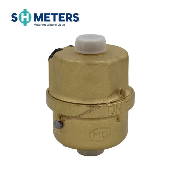 Volumetric Rotary Pistion Water Meter Horizonatal Water Meter Type